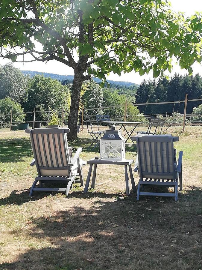 Chambre D'Hote Equestre Au Petit Bonheur Chateldon Exteriör bild