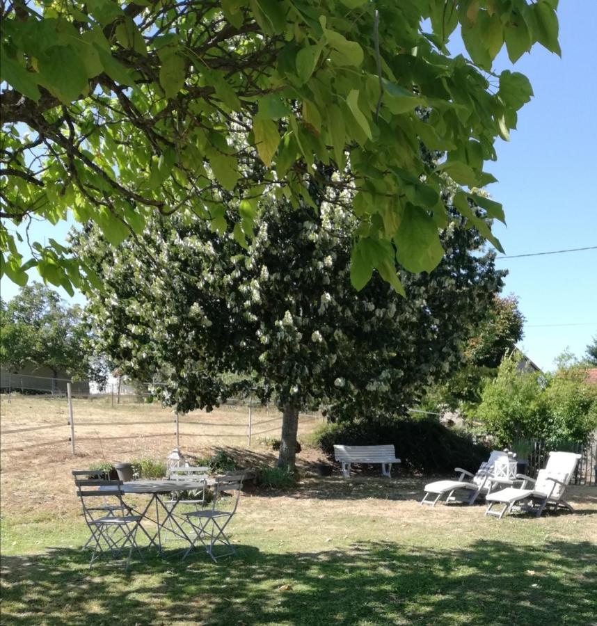 Chambre D'Hote Equestre Au Petit Bonheur Chateldon Exteriör bild