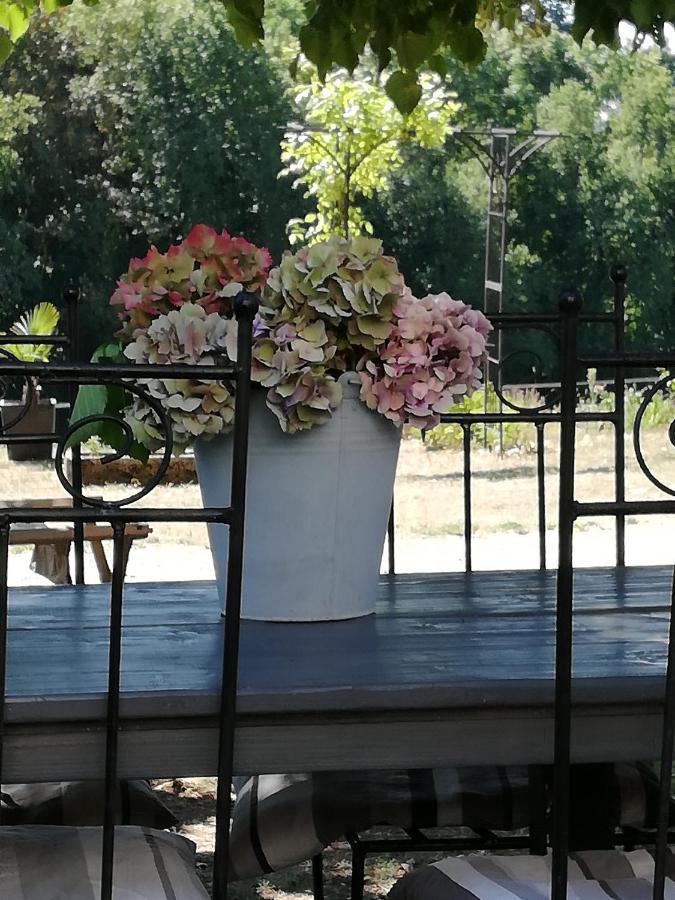 Chambre D'Hote Equestre Au Petit Bonheur Chateldon Exteriör bild